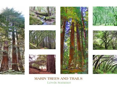 1marin trees and trails pos